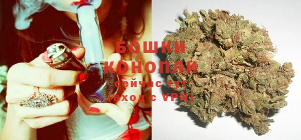 PSILOCYBIN Бронницы