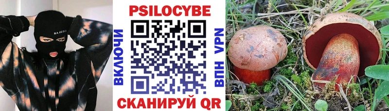 Псилоцибиновые грибы Magic Shrooms  Купить  Новоузенск 